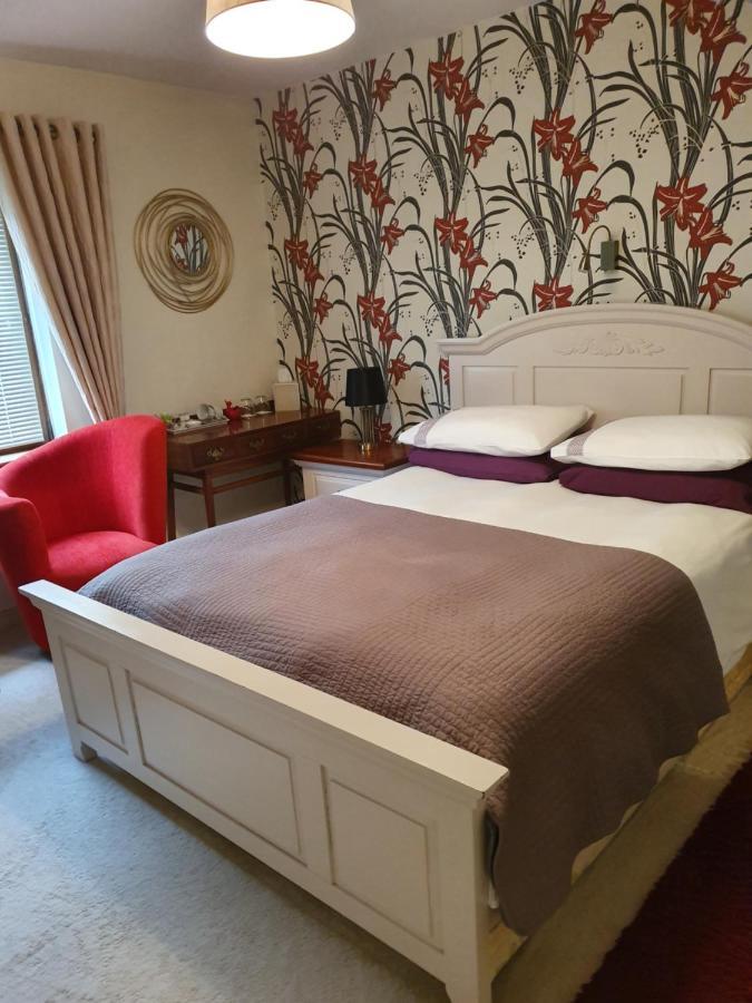 Los Molinos Bed and Breakfast Tralee Exteriör bild
