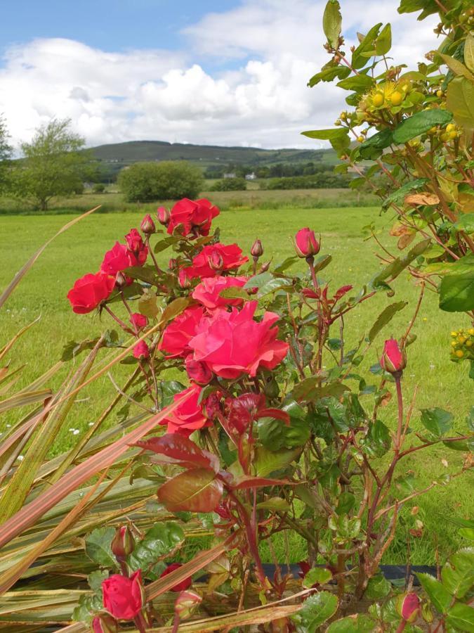 Los Molinos Bed and Breakfast Tralee Exteriör bild